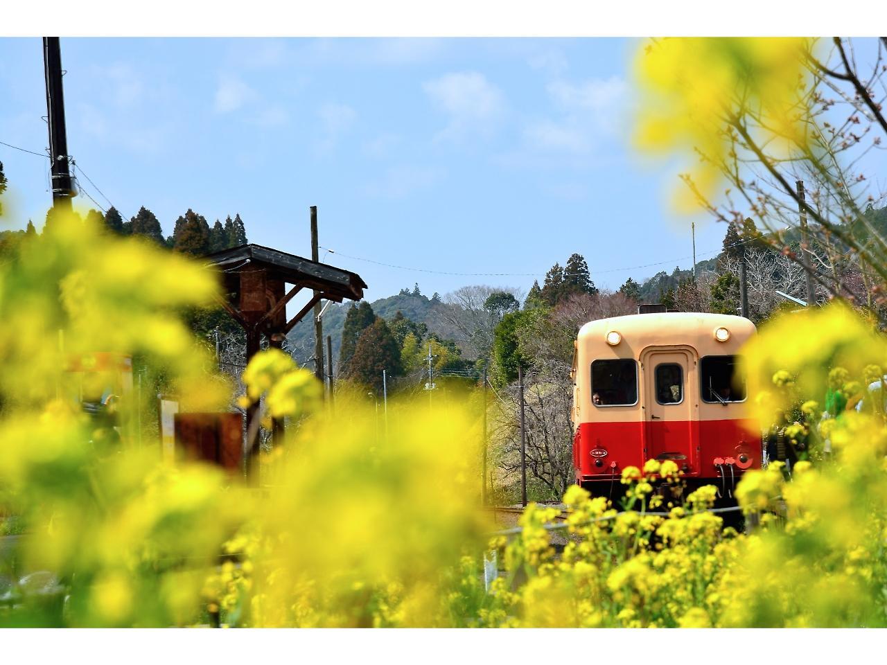 Goi Grand Hotel Ichihara Dış mekan fotoğraf