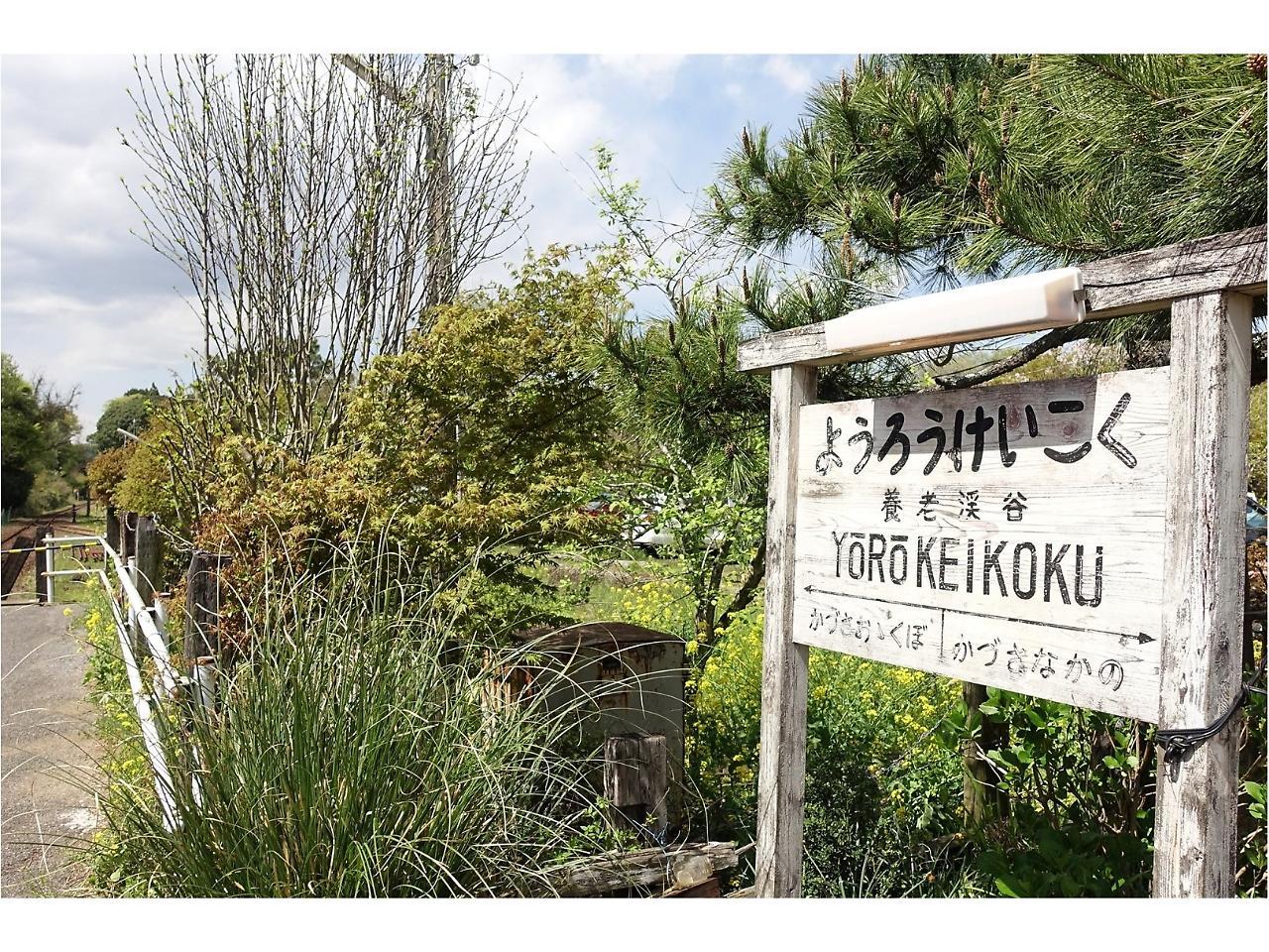Goi Grand Hotel Ichihara Dış mekan fotoğraf